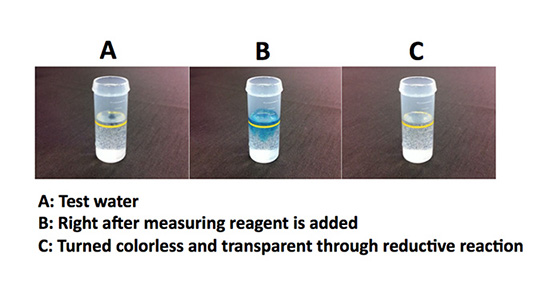 Dissolved hydrogen concentration measuring reagent