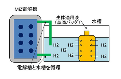 非破壊的水素含有器